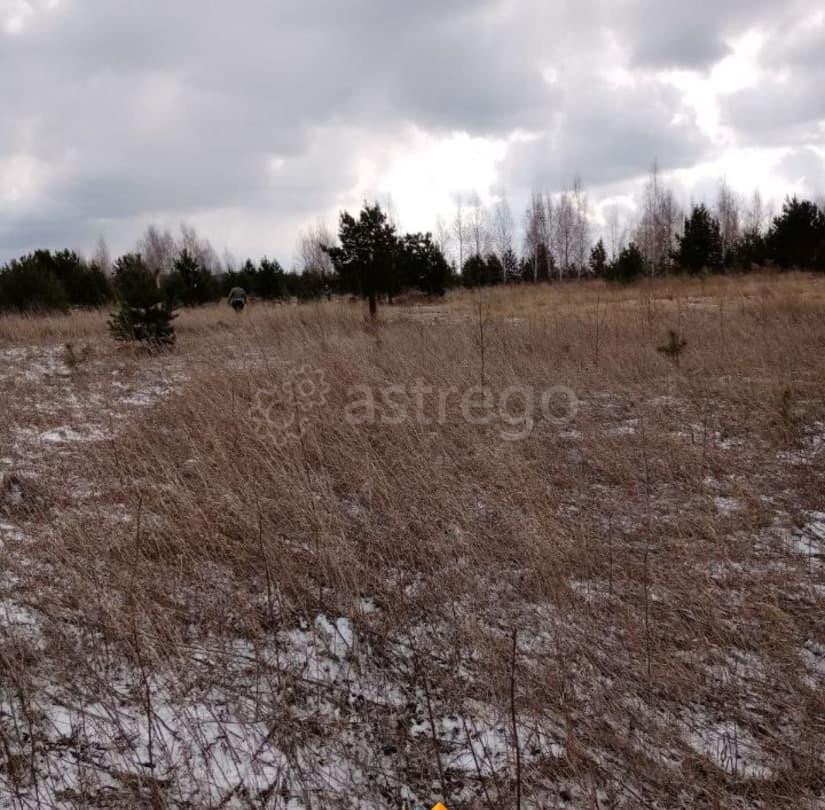 Земельный участок, 15 соток Березовка - изображение 7