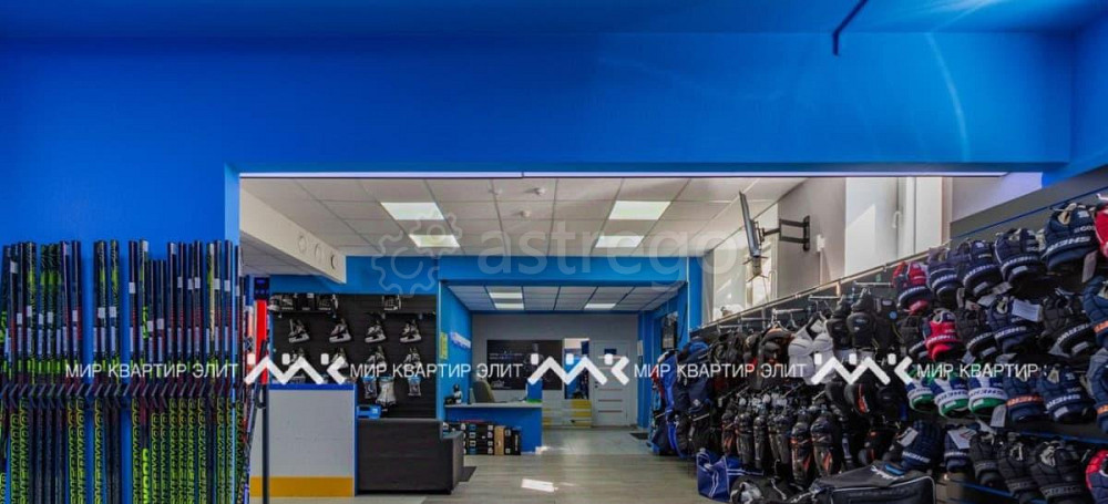 Свободного назначения, 246.3 м2 Санкт-Петербург - изображение 3