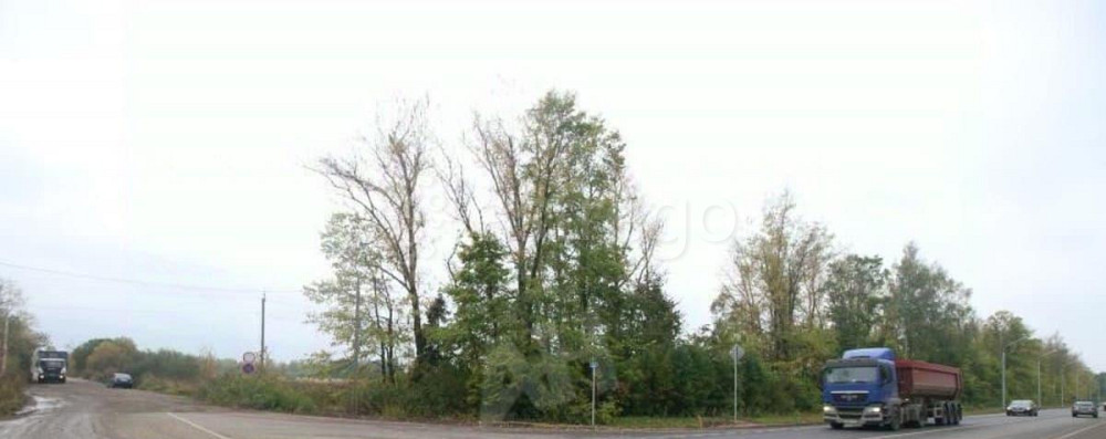 Коммерческий участок, 4.8 га Клин - изображение 6