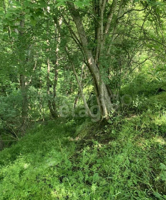 Земельный участок, 0.64 га Тульский - изображение 4