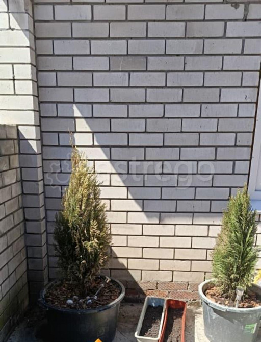 Дом, 42 м2, 1.5 сотки, 1 эт. Барнаул - изображение 7