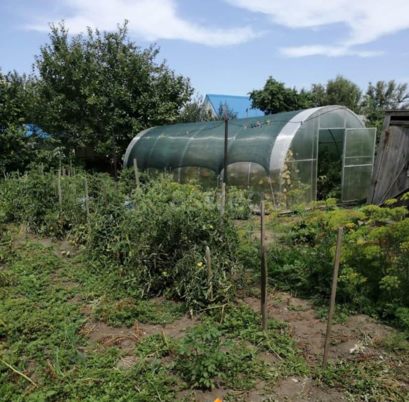 Дом, 66 м2, 6 соток Рубцовск - изображение 3