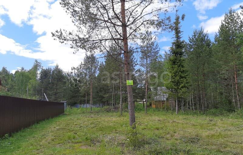 Земельный участок, 9 соток Павловский Посад - изображение 1