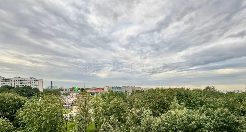 2-комн. квартира, 45 м2, 8/9 эт. Москва - изображение 2