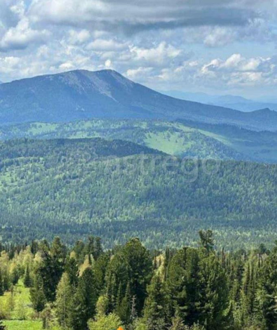 Земельный участок, 1 га Алтайское - изображение 4