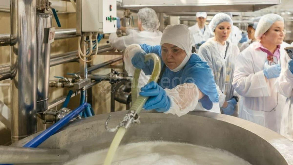 Производственное, 1200 м, 50 соток Адыгейск - изображение 5