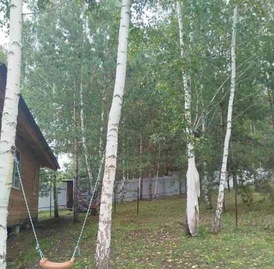 Дом, 80 м2, 7 соток, 1 эт. Березовка