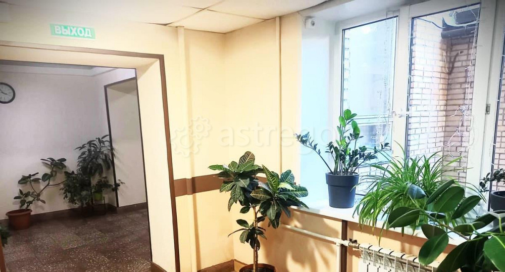 Комната, 17.5 м2, 9/9 эт. Люберцы - изображение 4