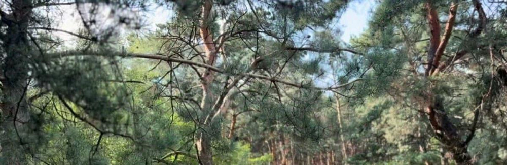 Студия, 38.6 м2, 1/4 эт. Старый Оскол - изображение 2