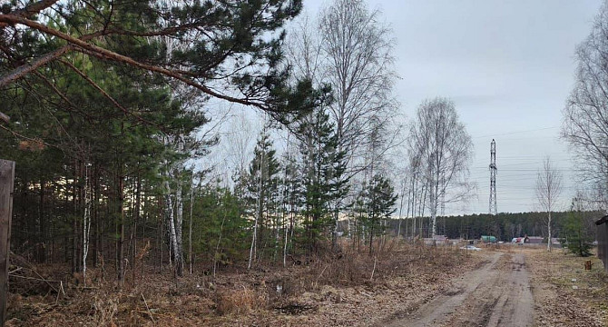 Земельный участок, 10.3 сотки Сосновоборск - изображение 3