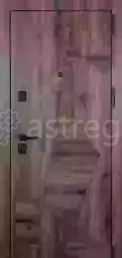 Входная дверь Вудгранд Ростов-на-Дону - изображение 1