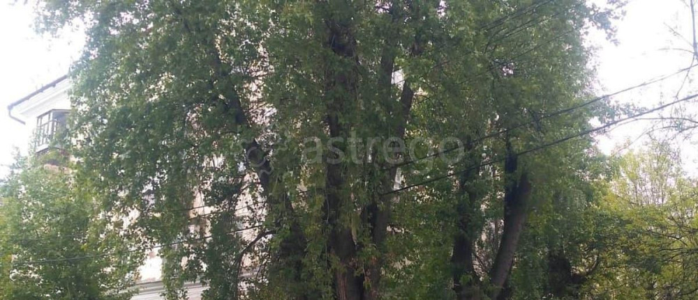 Комната, 21 м2, 1/4 эт. Уфа - изображение 1