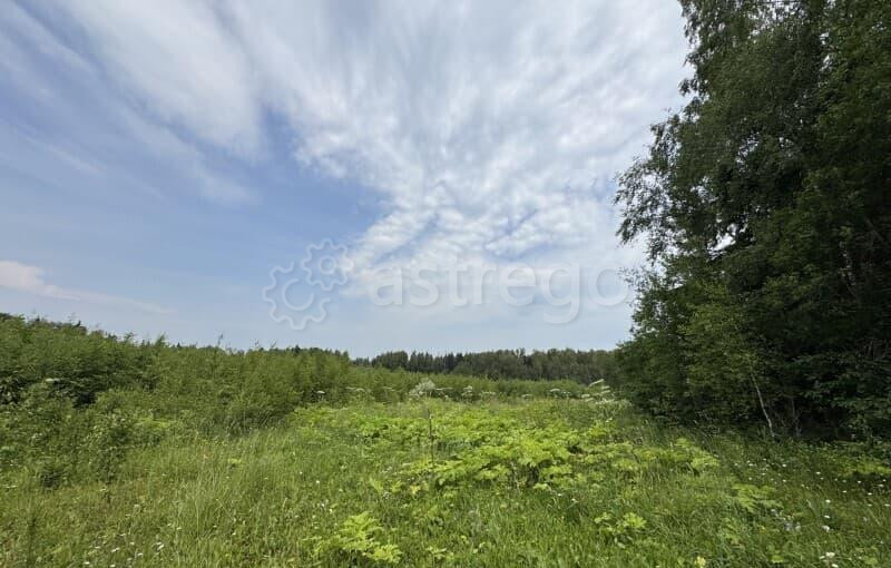 Земля с/х назначения, 9.6 га Руза - изображение 9