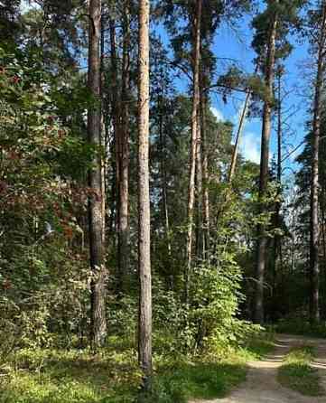 Земельный участок, 9.3 сотки Раменское