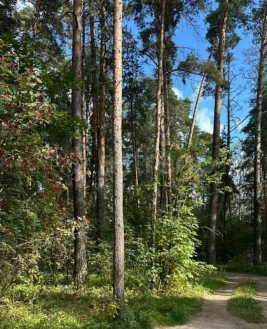 Земельный участок, 9.3 сотки Раменское - изображение 2