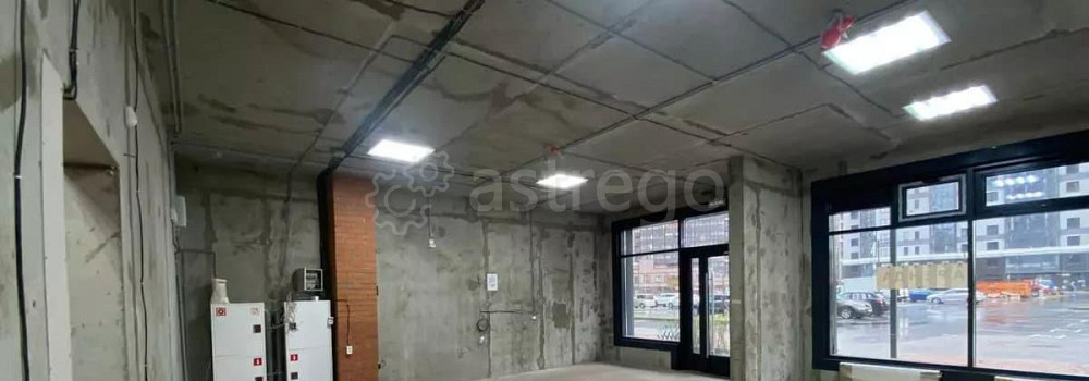 Свободного назначения, 89 м2 Санкт-Петербург - изображение 5