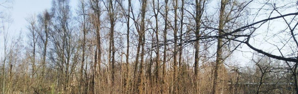 Земельный участок, 18 соток Санкт-Петербург - изображение 3
