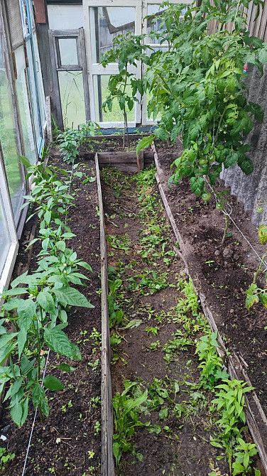 Продам дачу, 30 м2, Садовый Участок 6 сот. Комсомольск-на-Амуре - изображение 8