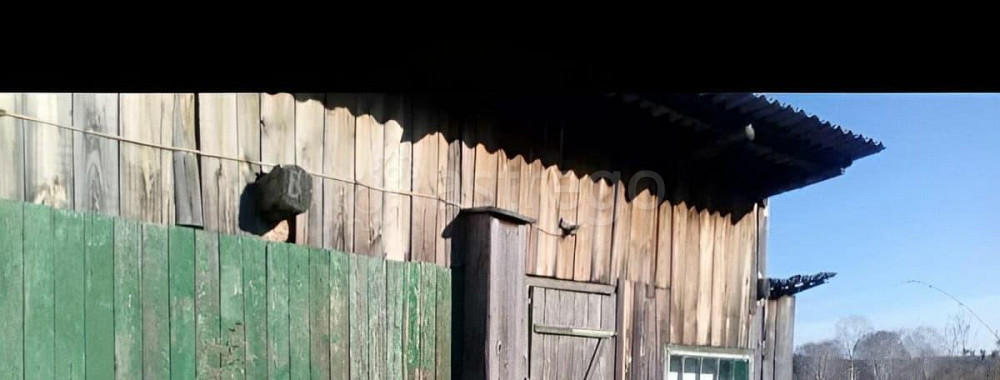 Дом, 40 м2, 35 соток, 1 эт. Тальменка - изображение 1