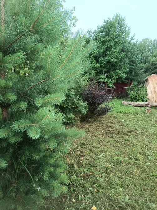 Участок, ИЖС, 11 сот. Новосибирск - изображение 10