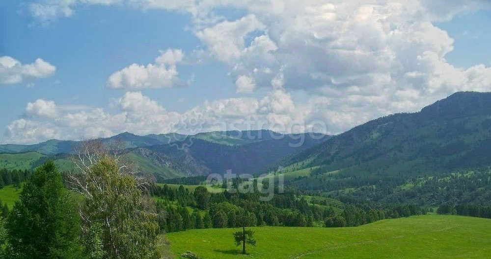 Земельный участок, 16.9 га Алтайское - изображение 2