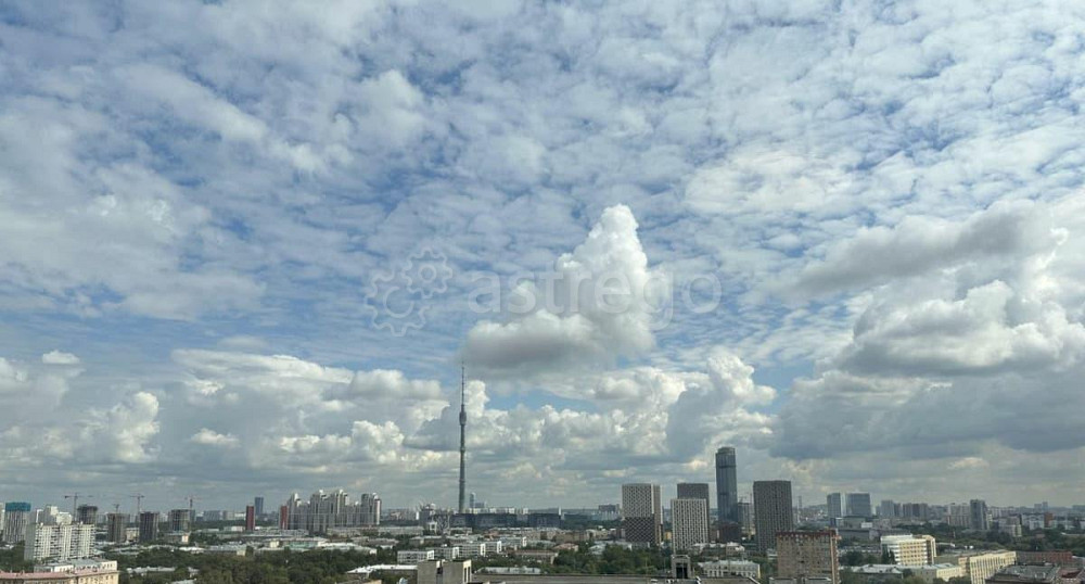Студия, 29.8 м2, 17/29 эт. Москва - изображение 6