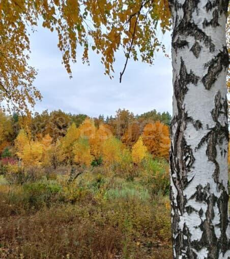 Земля с/х назначения, 12.38 га Кармаскалы - изображение 2