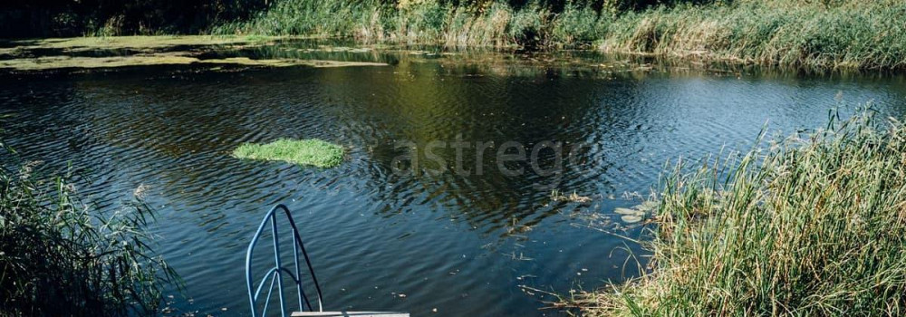 Готовый бизнес, 470 м2 Алексеевка - изображение 2