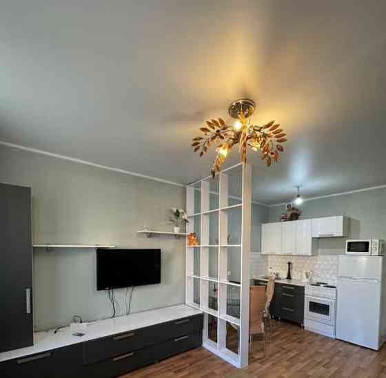 Студия, 27 м2, 11/19 эт. Красноярск