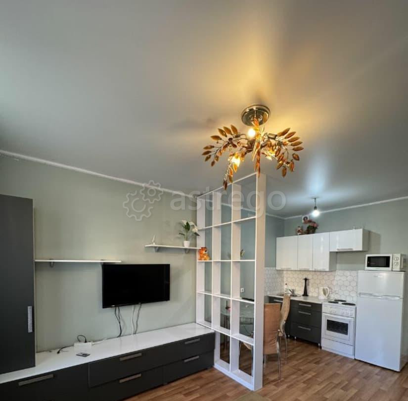 Студия, 27 м2, 11/19 эт. Красноярск - изображение 1