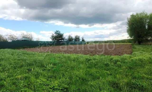 Земля с/х назначения, 30 соток Егорьевск - изображение 3