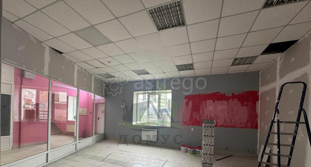 Торговое помещение, 37 м2 Раменское - изображение 5