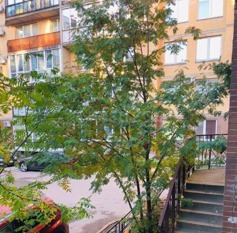 Торговое помещение, 268.5 м2 Санкт-Петербург - изображение 3