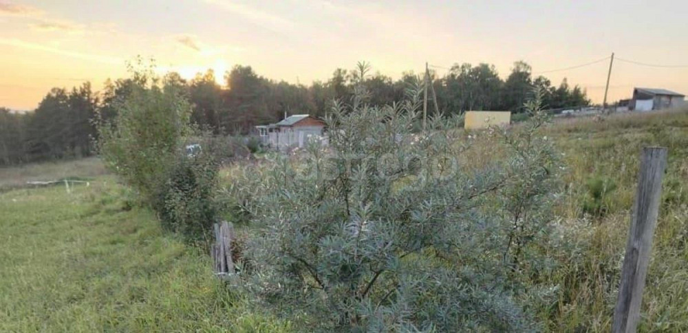 Земельный участок, 10 соток Емельяново - изображение 7