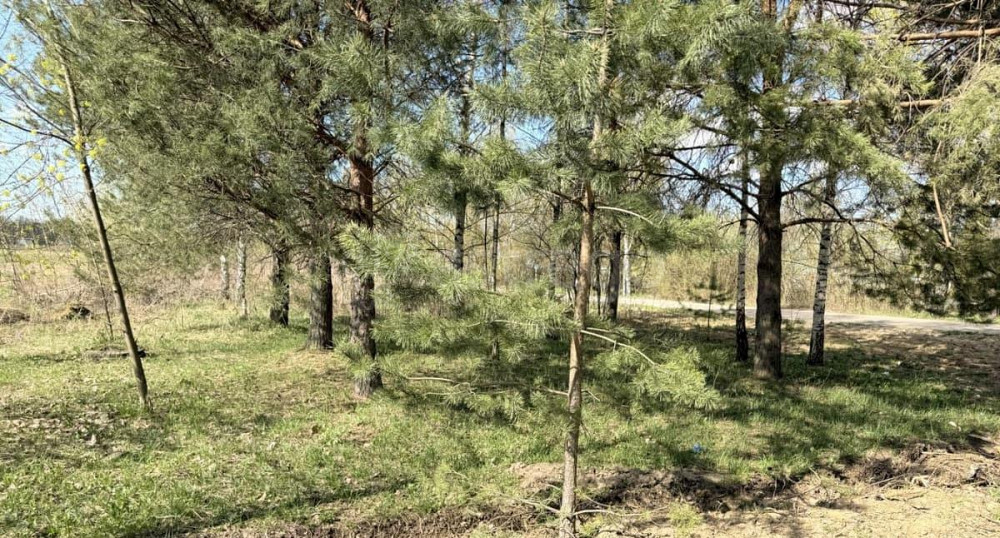 Земельный участок, 10.3 сотки Пушкино - изображение 5