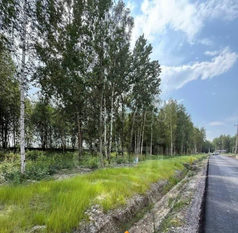 Земельный участок, 4.7 сотки Санкт-Петербург - изображение 6