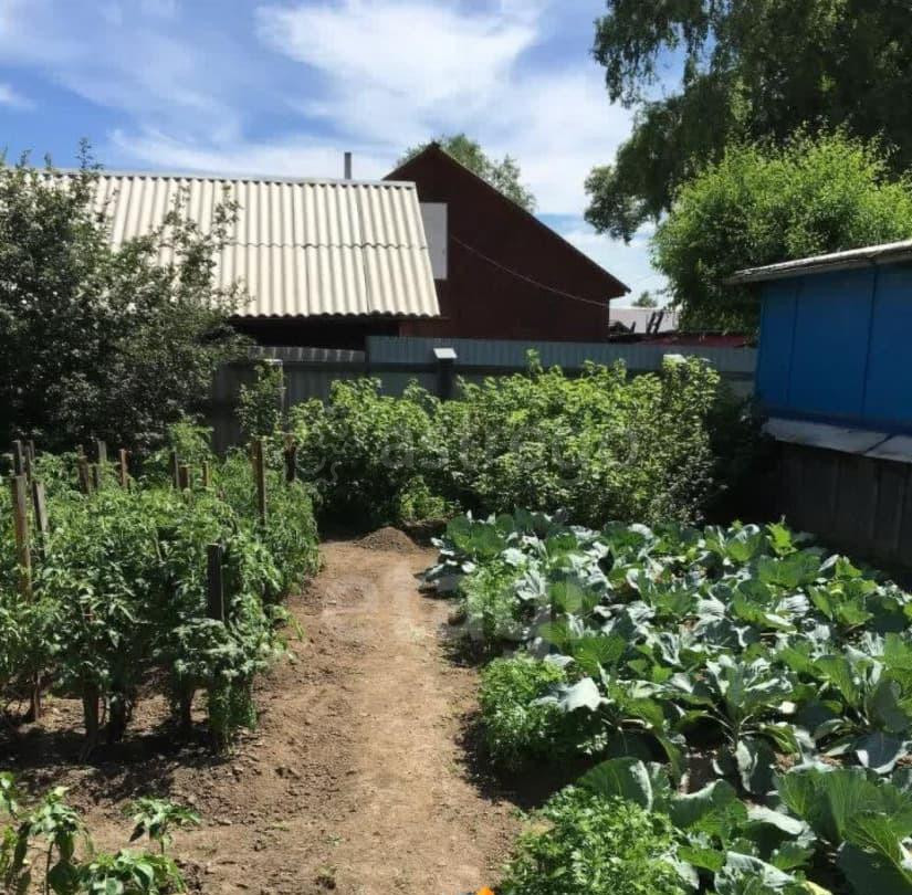 Дом, 47.9 м2, 12 соток, 1 эт. Благовещенск - изображение 5