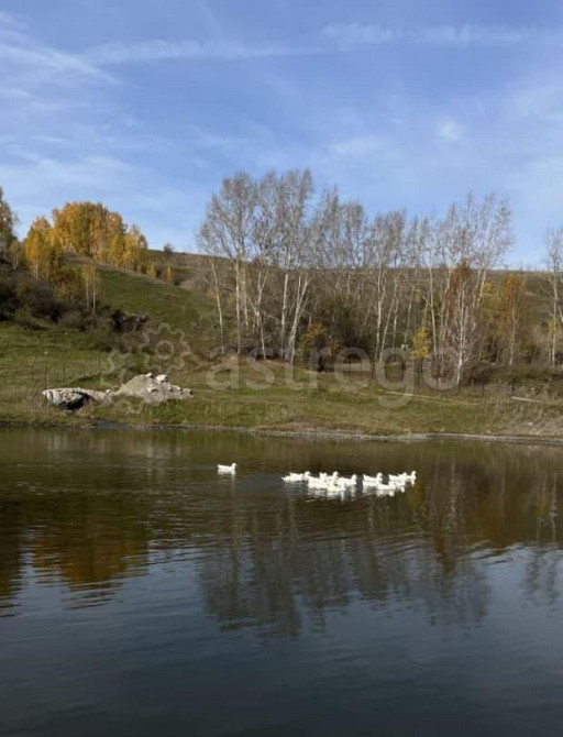Коммерческий участок, 28 соток Алтайское - изображение 4