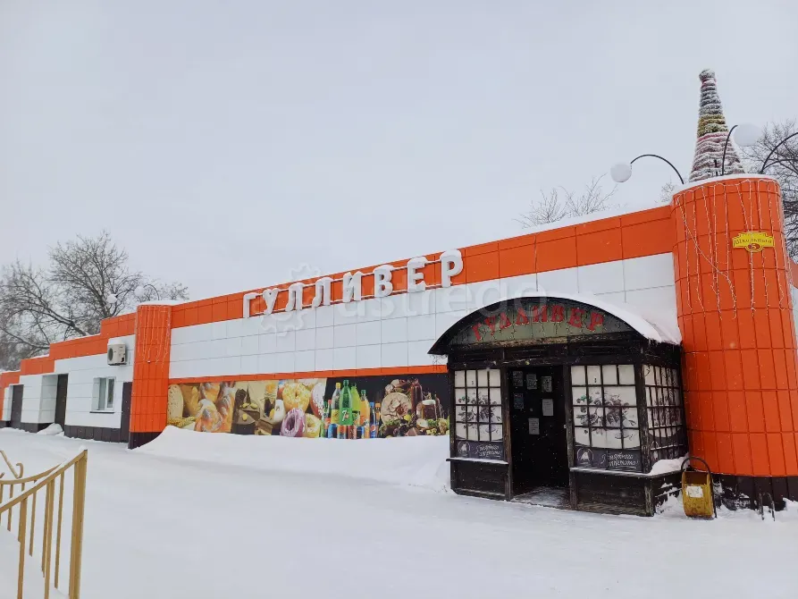 Продам торговое помещение, 497 м2 Черепаново - изображение 1