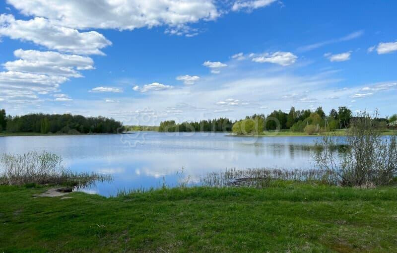 Земельный участок, 9.4 га Руза - изображение 7