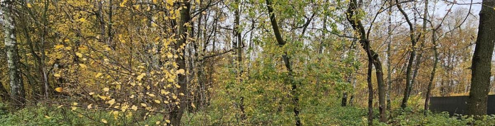 Земельный участок, 10 соток Луховицы - изображение 2