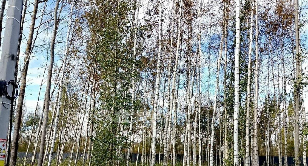 Земельный участок, 8.21 сотки Санкт-Петербург - изображение 1