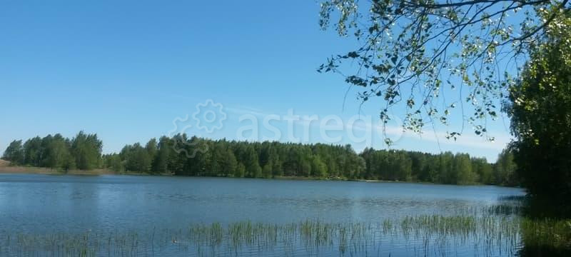 Земля с/х назначения, 8 соток Павловский Посад - изображение 10