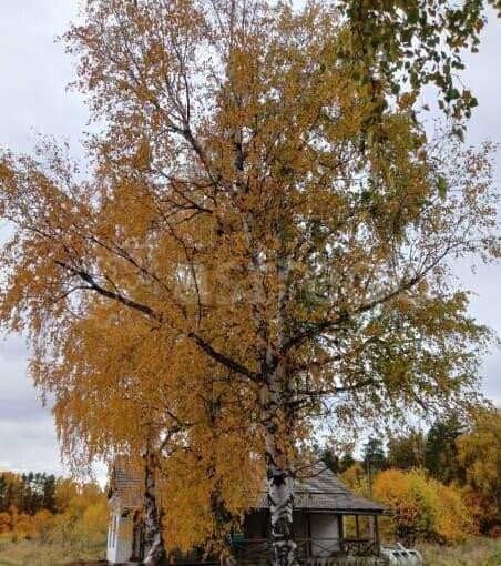 Земля с/х назначения, 12.38 га Кармаскалы - изображение 4
