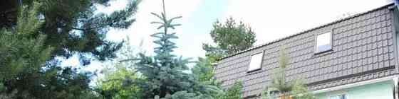 Дом, 150 м2, 6 соток, 3 эт. Долгопрудный