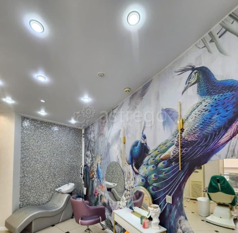 Офис, 111.4 м2 Благовещенск - изображение 5