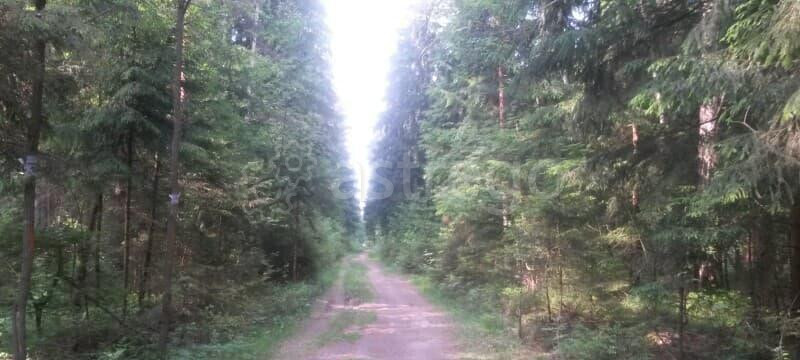 Земля под ИЖС, 9 соток Павловский Посад - изображение 8