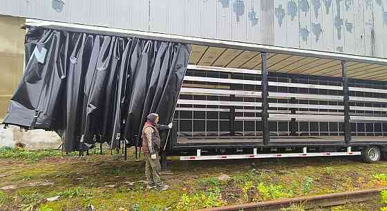Четырехосный шторный полуприцеп-трал TITAN Набережные Челны