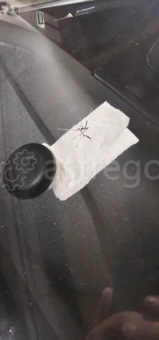 Ремонт сколов и трещин на Автостеклах Санкт-Петербург - изображение 2