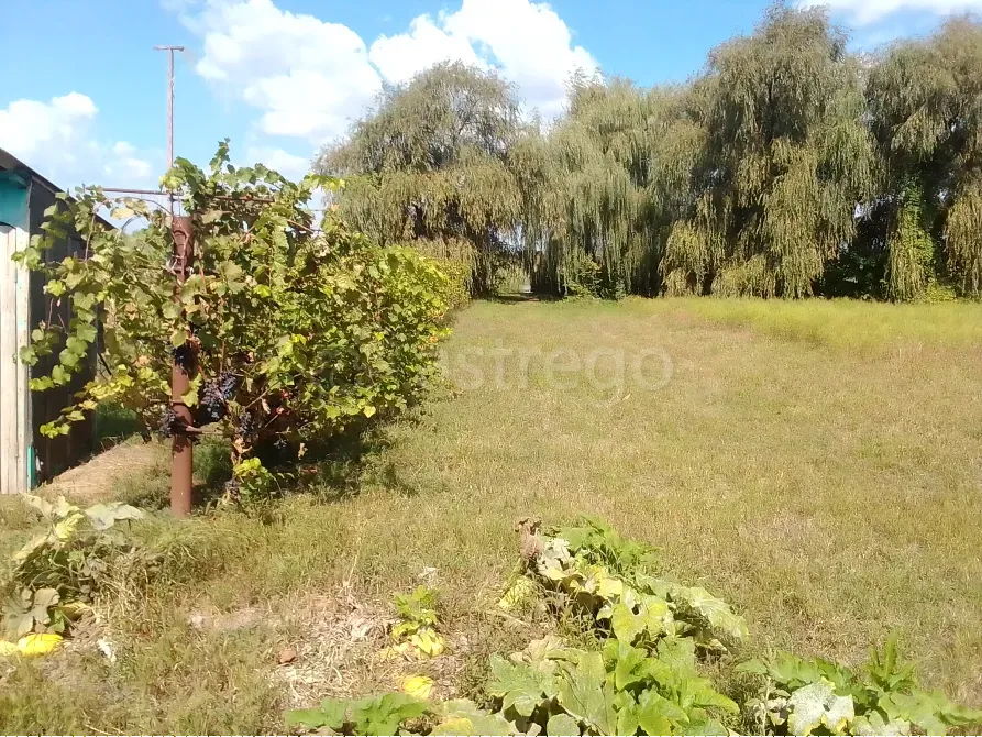 Продам дом, 73 м2, ИЖС Участок 7.72 сот. Тимашевск - изображение 4